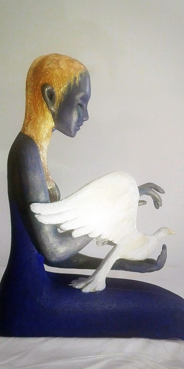 colombe